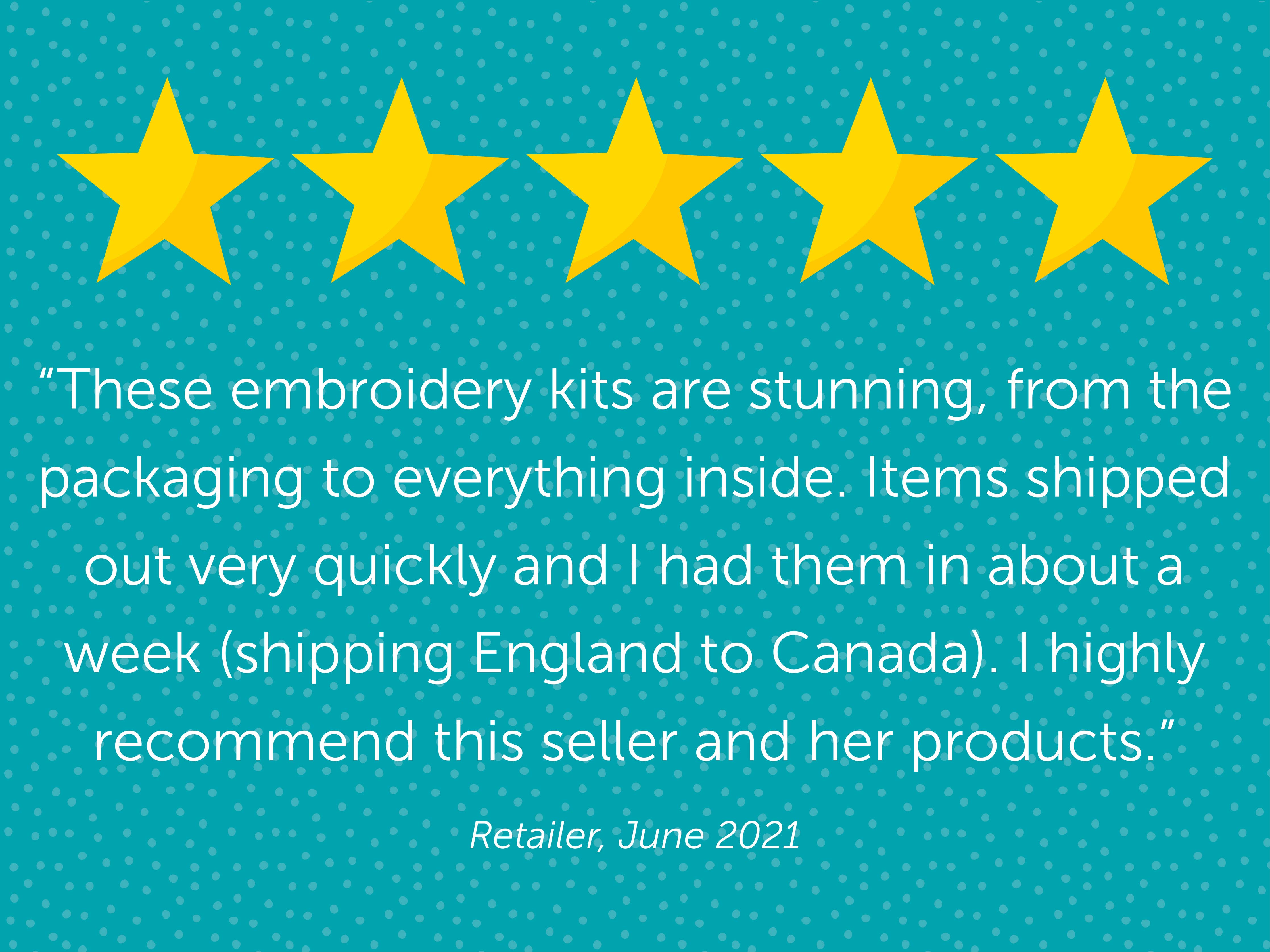 Houseplant Pilea Botanical Handmade Embroidery Kit Hoop Art