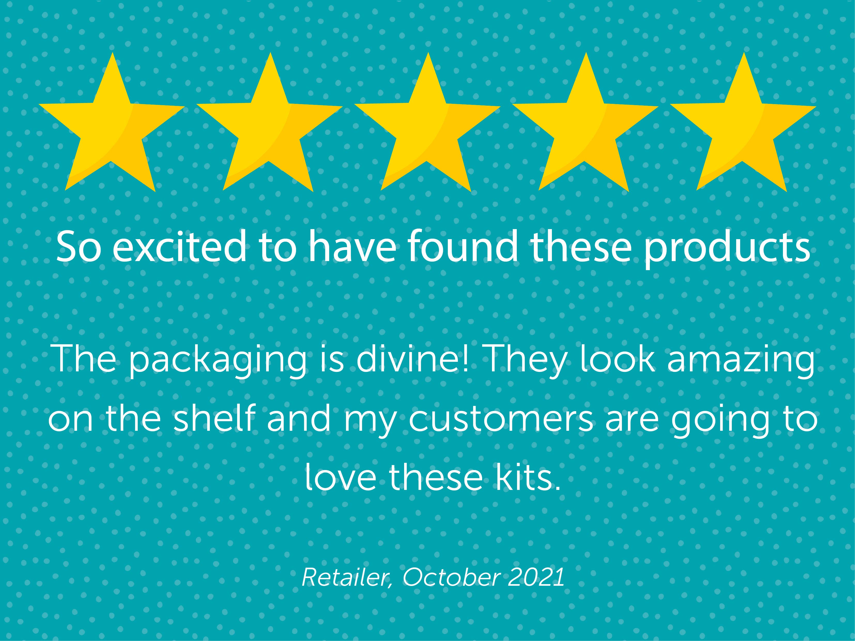 Houseplant Pilea Botanical Handmade Embroidery Kit Hoop Art